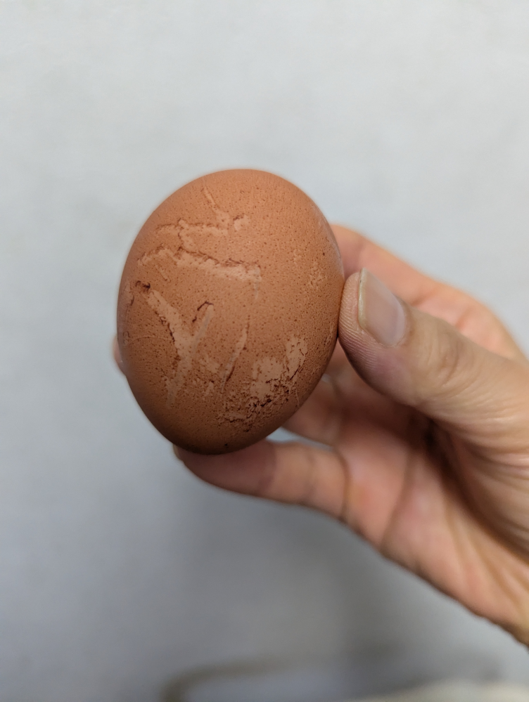 卵の殻にヒビが…ヒビがいつ入ったのか分からない場合、食べない方がい