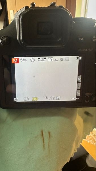 一眼レフ(所謂ネオ一眼)について詳しい方、教えて頂きたいです 