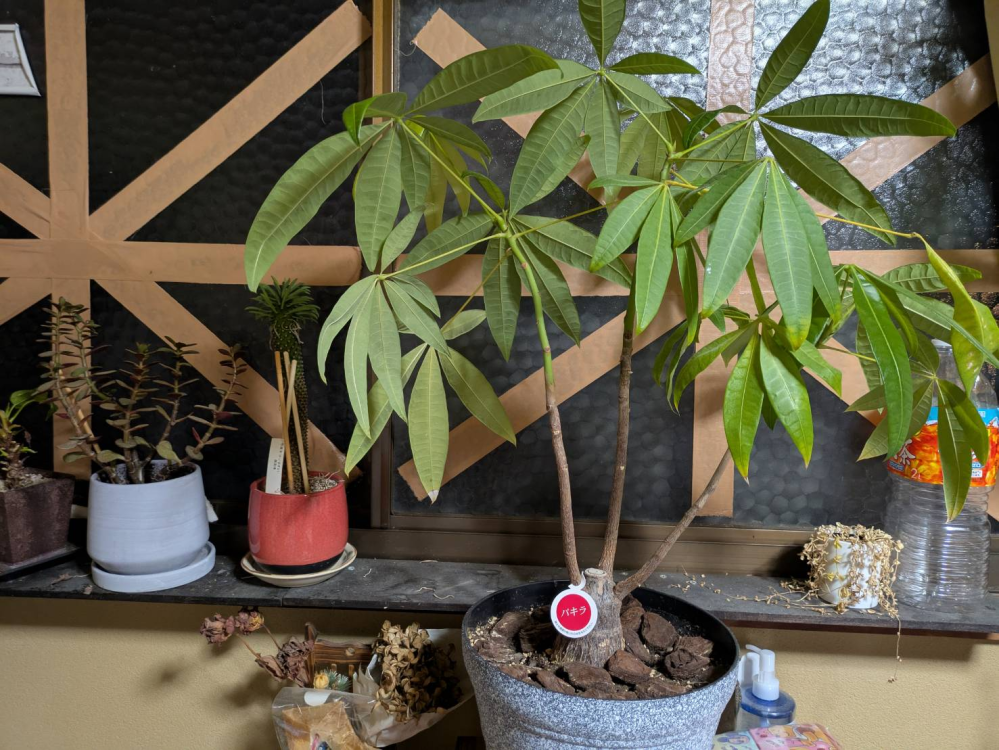 この落款解る方宜しくお願い致します、盆栽鉢、盆栽小鉢、盆栽、鉢、落款 haniwa-bonsai_re060-2350-09