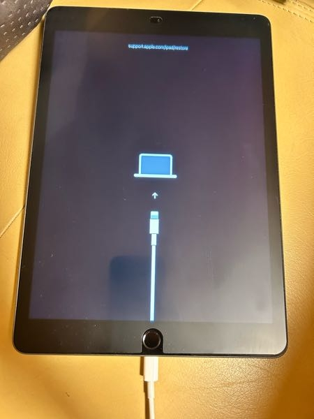 至急お願いします。iPadが再起動等してもこの画面しか出なくな