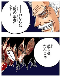 もっちゃん様白ひげ