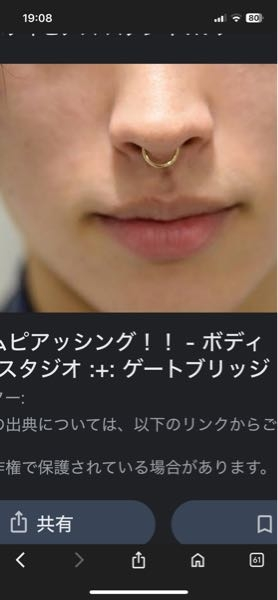 写真のようなセプタムのピアスは耳用のリングでもいいのでしょうか 