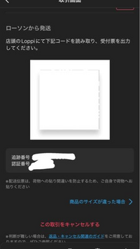 P☆コメント前にプロフ必ず読んで下さい！ 購入者側です。この前メルカリで購入したのですが、プロフィール