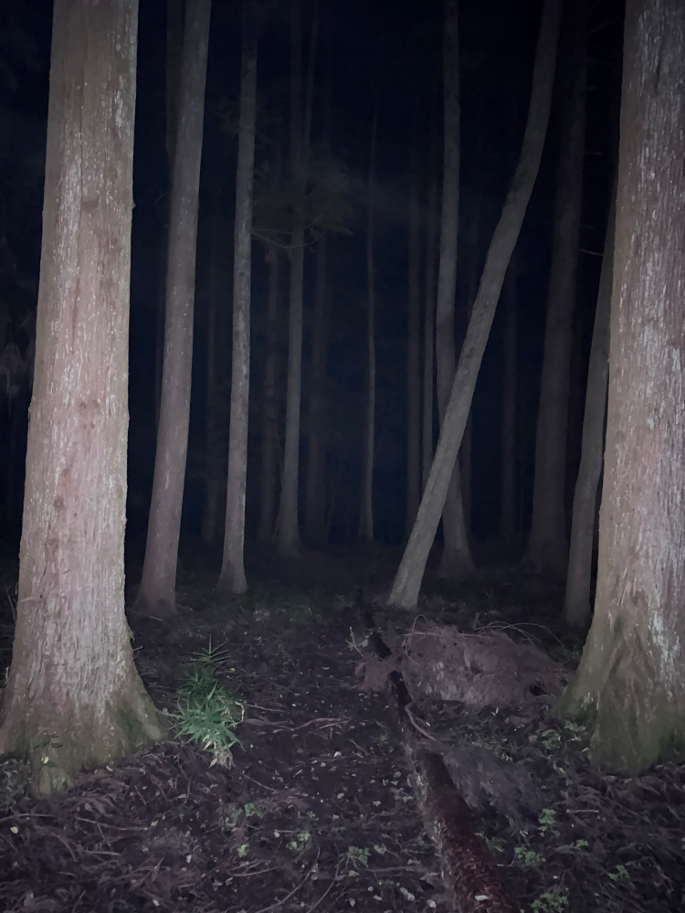 霊感写真 霊感がある人に見てもらいたい写真がありますここに霊はいますか