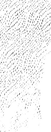 漫画用のスクリーントーンについて質問です。画像の柄のトーンの名