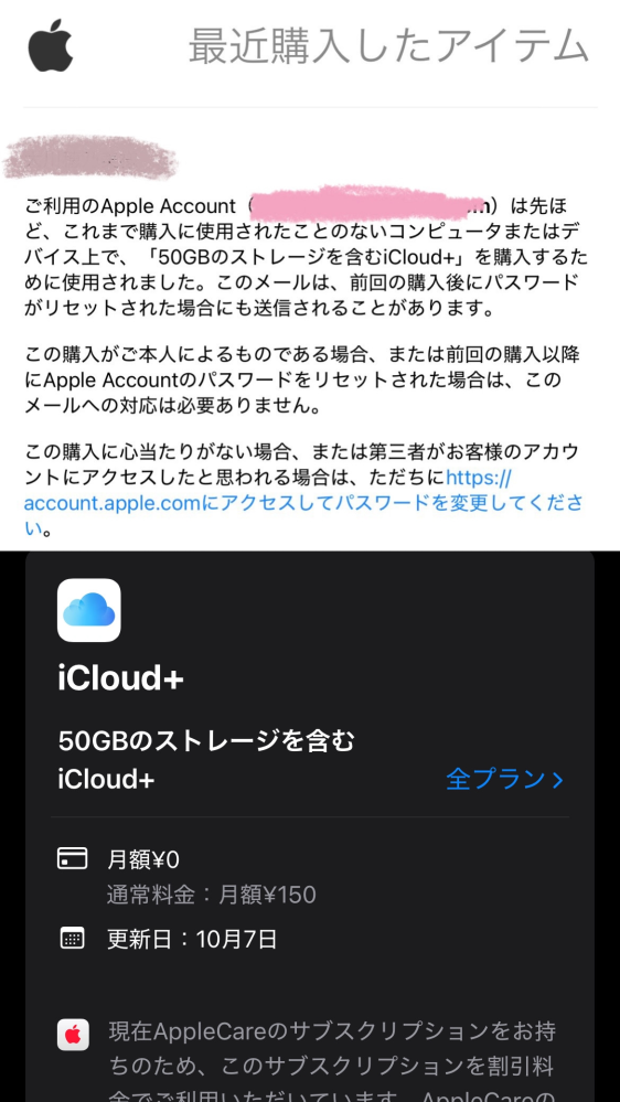 Apple - かな(他の方のご購入はご遠慮ください) Apple - かな(他の方のご購入はご遠慮ください) 私に届いたApple