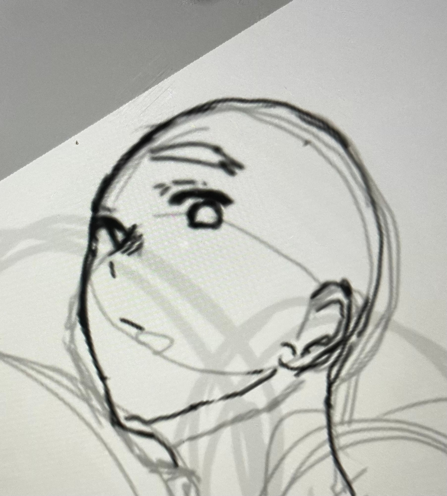 アオリの書き方が分かりません。 斜めのアオリの頭を描いているのですが目の角度や、首の付き方が分かりません、耳の付き方も曖昧です。 この画像は何がおかしいのか教えてください。出来れば書き直してくれたら助かります。よろしくお願いします。