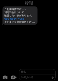 sakuLA⭐24時間以内に発送⭐！！ sakuLA⭐24時間以内に発送⭐！！ 2025年3月26日収集：偽