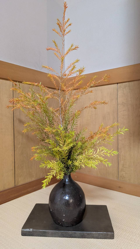 盆栽鉢の落款について何て搔いてあるのかわかりませんか？1点あります