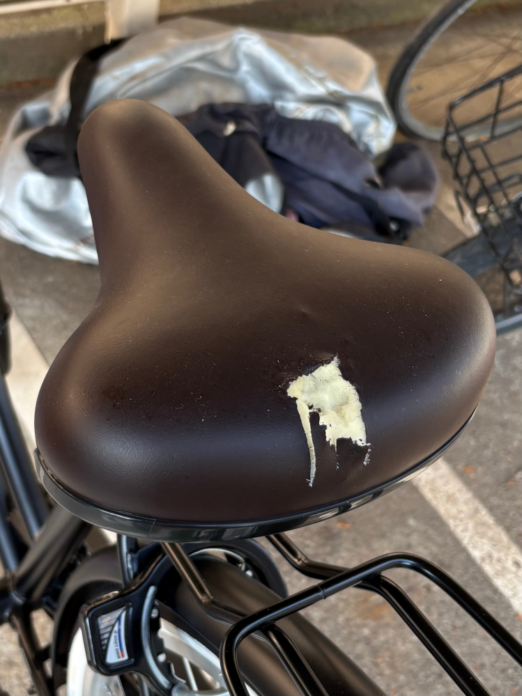 弟の自転車なのですが、一度も自転車を乗っていないのにこのように 