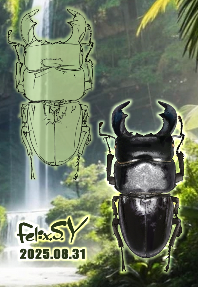 ●許可を得て、絵画カテのプロの描かれた絵を添付して質問します。 絵画カテの正規の筆頭カテマスさんの描かれたオオクワガタの図鑑絵は、写真をトレースすれば簡単に作成できる、サンプルをすぐにあげる、という投稿を見ました。 本当でしょうか？ プロでさえ誰でも描けるわけではなないリアルな甲虫目昆虫の図鑑絵を、素人が写真トレースのような簡単な方法で描くことが出来るとは思えません。 絵画カテ、昆虫カテの有識者の皆さん、率直な御意見をお聞かせください。