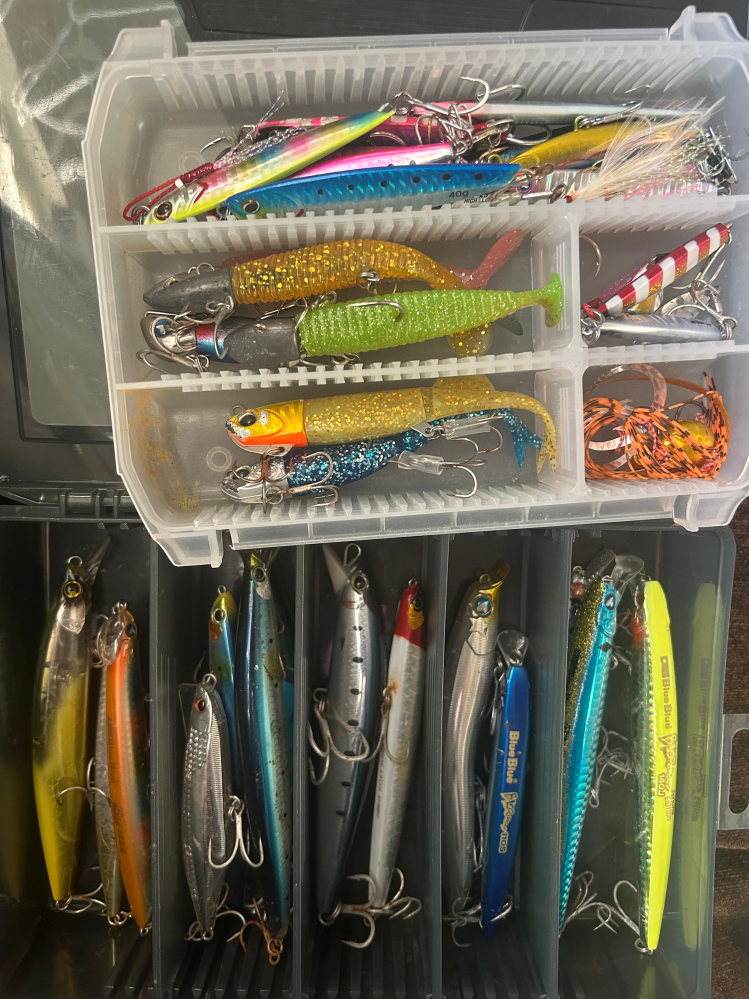 釣ってないはずが Why is it that the person next to me is catching a lot of fish