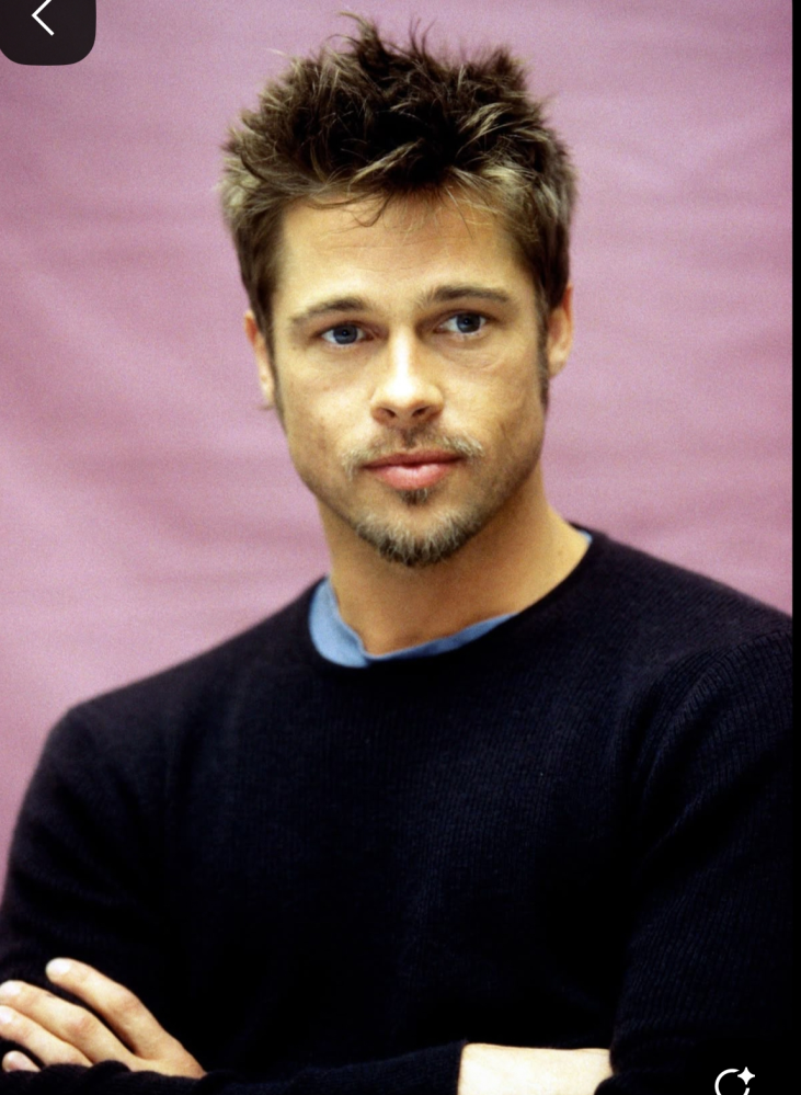 連投失礼します。昔の話ですが、ブラッドピットが画像のように長袖着てることが珍しいと思いまして、ブラピは長袖と半袖どちらをよく着てるイメージありますか？作中関係なく、プライベートも含めてお願いします。