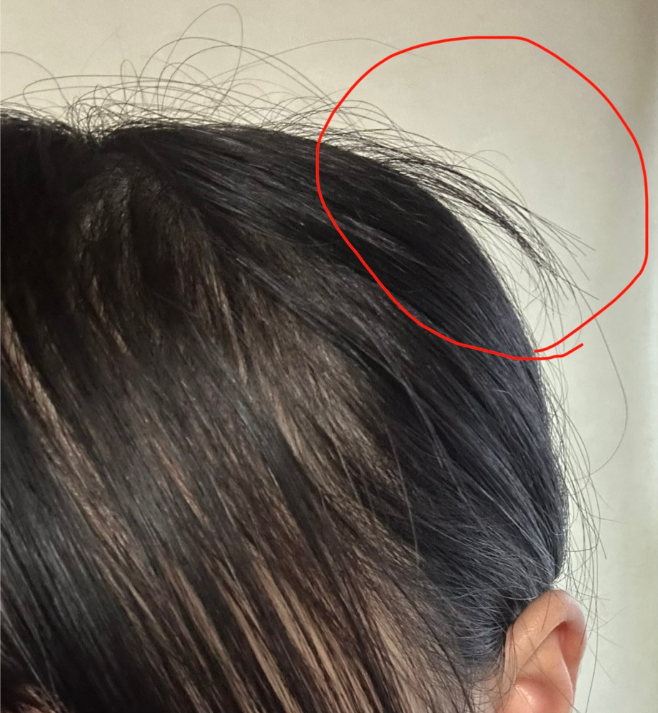 髪型の確認用 髪型の確認用 髪型の確認用 ルートZX mini ＃｜オンラインカタログ