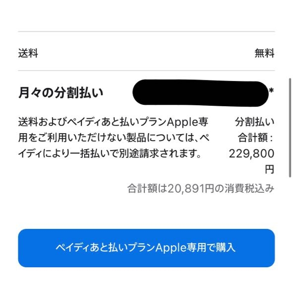 ペイディについて - 昨日初めてAppleストアでiPhoneを注文しました