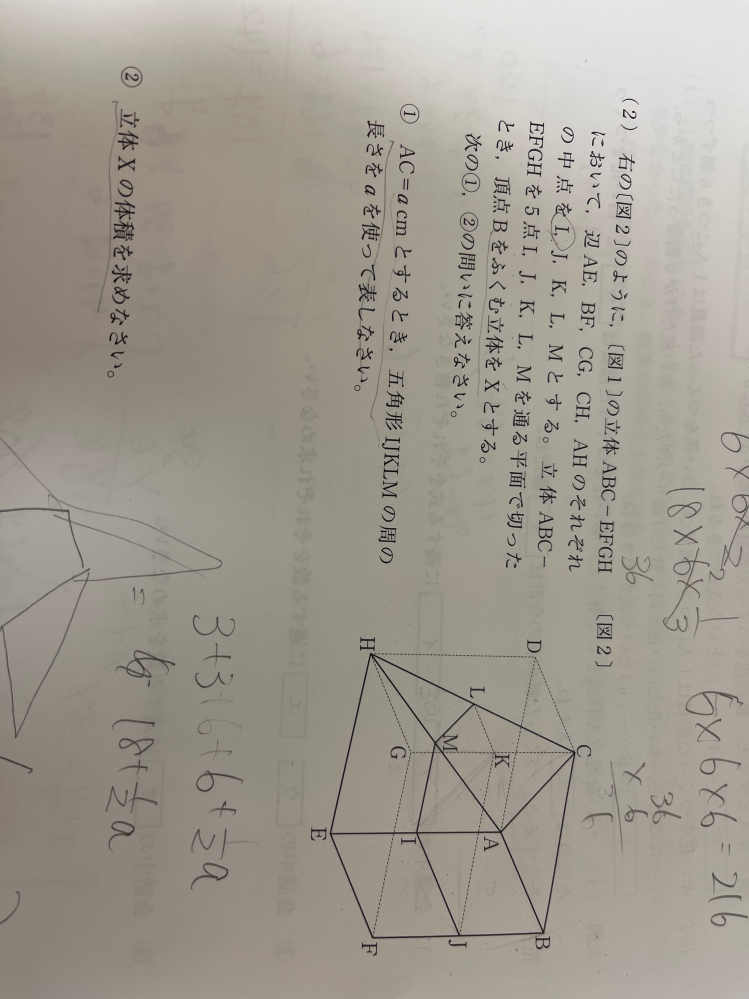 中学数学です。この立体Xの意味がわかりません、、。なぜ頂点Bを