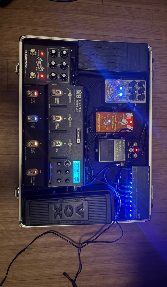 Line6のM9の使用者に質問です。正規品の使用を推奨されていますが、ケ