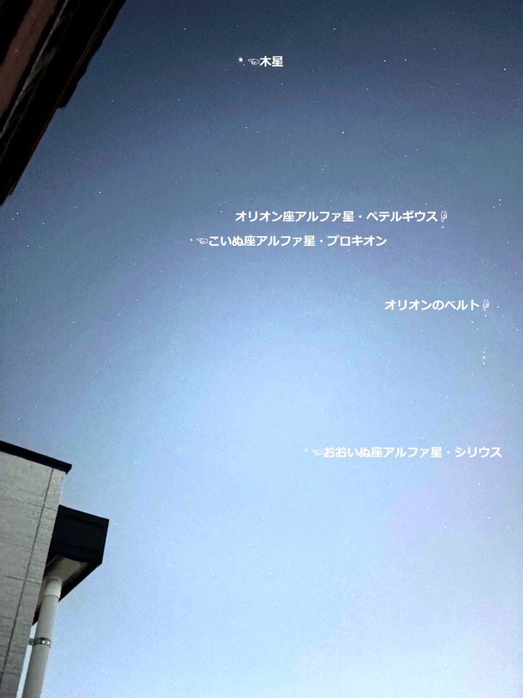 そんなに星や星座に詳しいわけじゃないのですが、まったく興味ない人よりは知ってるレベルです。 残念ながら満天の星空が見えるような環境じゃない（むしろ都会側）のですが、24時現在のベランダからの風景です。合ってますか？