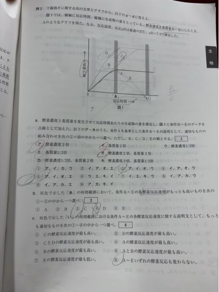この問題誰か解答お願いします！AIに聞いても毎回異なる答えが帰ってき