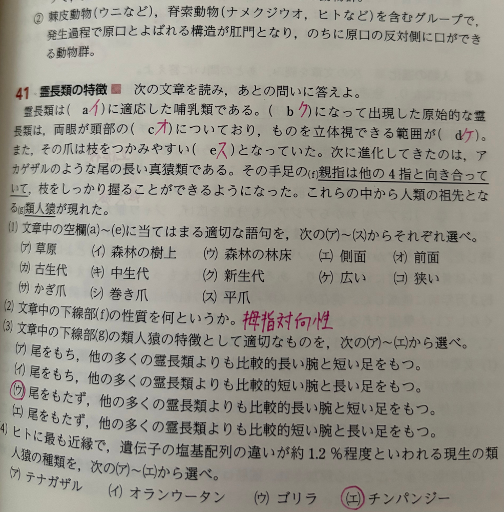 メルカリ私は出品者側です。学校で使用していた参考書を出品したの