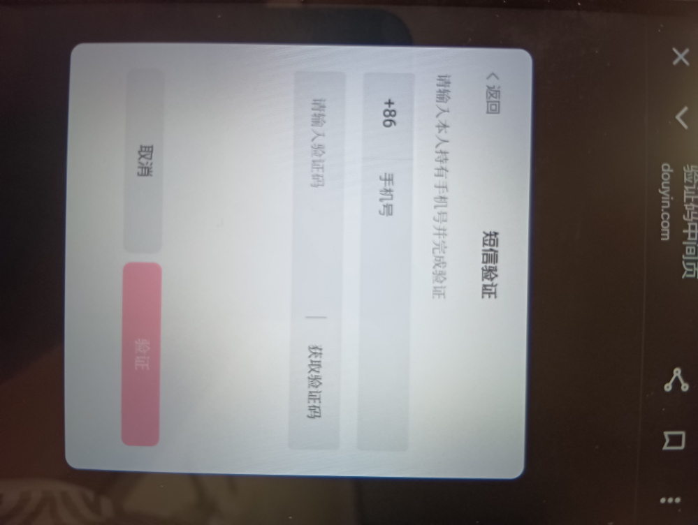 douyinをWEB版で見たいのですが、見れないです。今まではこの画面はなく普通に見れてましたが、なぜでしょうか？