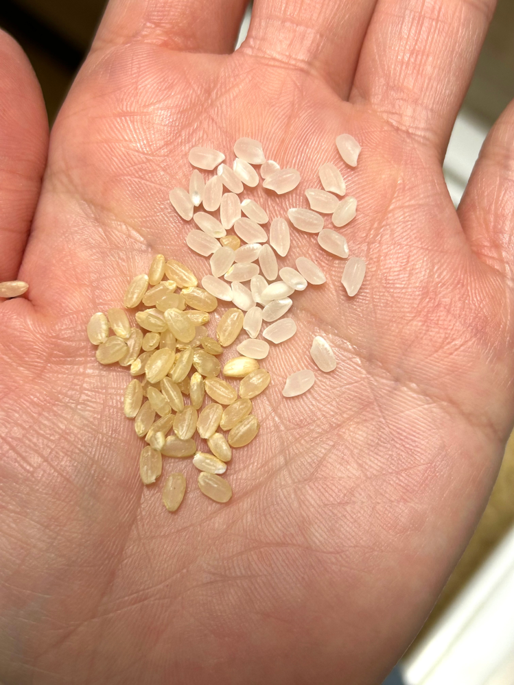 精米所で玄米を5分つきにしたのですが、家族に不評なので白米に