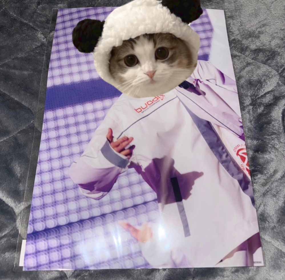このA3サイズのポスターを軽く折り曲げて梱包してゆうゆうメルカリ便で