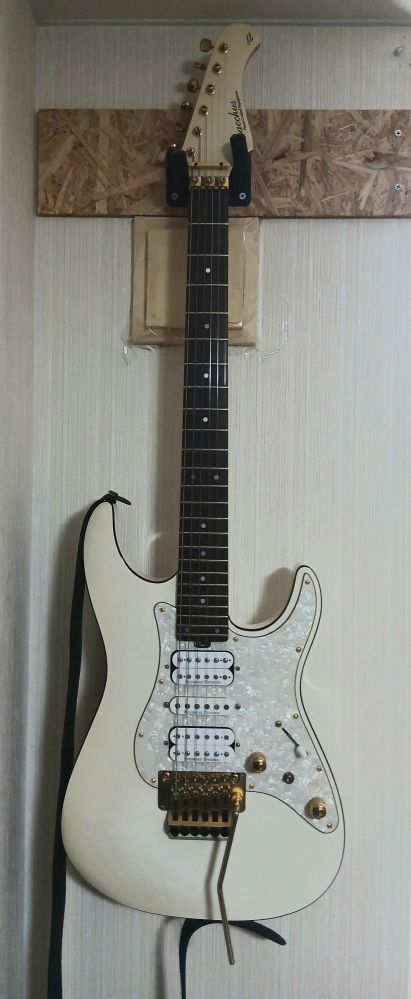 エレキギターについて質問です。BacchusG-CUSTOMという種類の