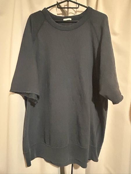どなたかGUの商品に詳しい方教えて下さい。この写真のシャツを探