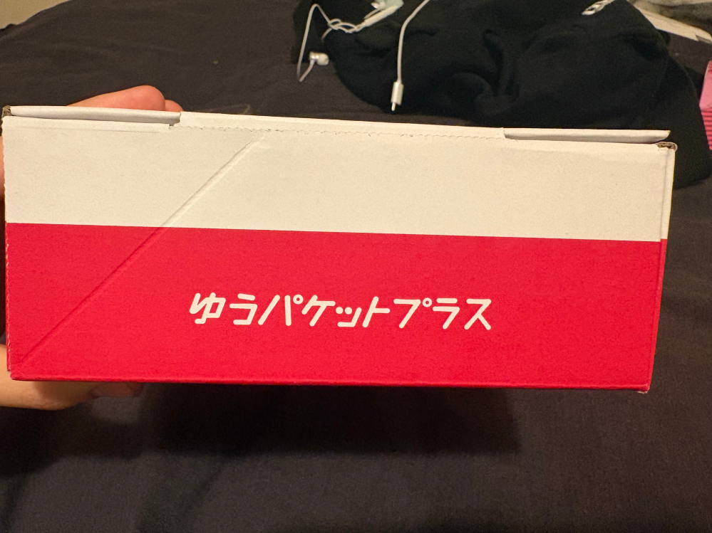 ハクです。他の方は入札をお控えくださいませ。 イベント「コードネーム：ピカラ ～ Five Tails」開催！ | 東方