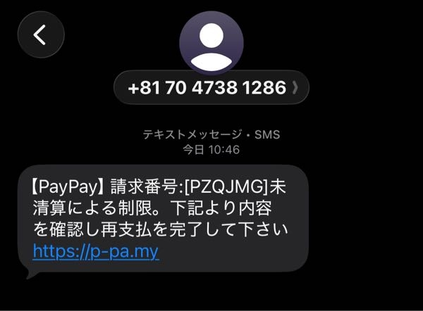 かなるページ PayPayから請求来たのですがこれは本物ですか？取引履歴見ても最後にP