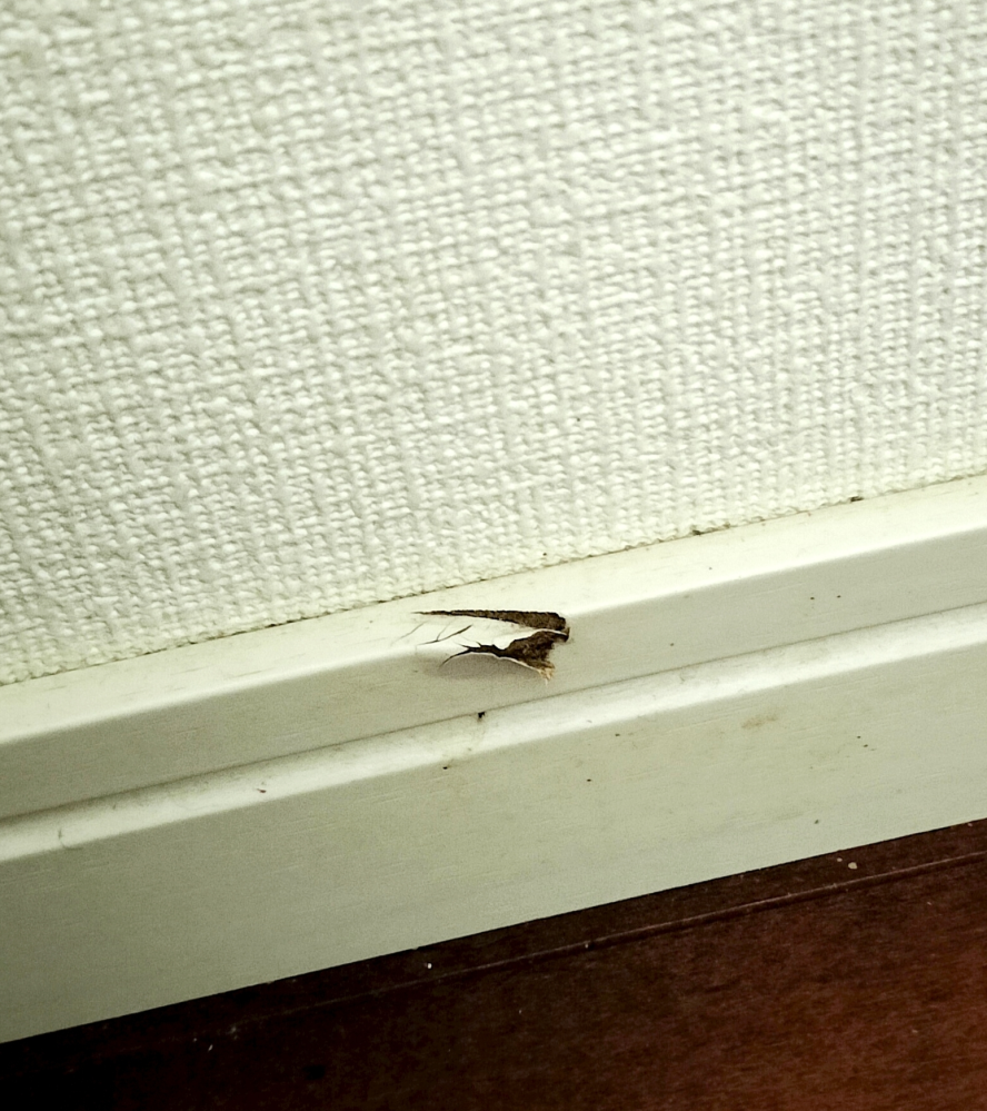 賃貸の壁の下の方の木の部分にあるこの画像の傷の補修方法を教えて下さい。 素人ためなるべく簡単に費用は高くない方法でお願いします。