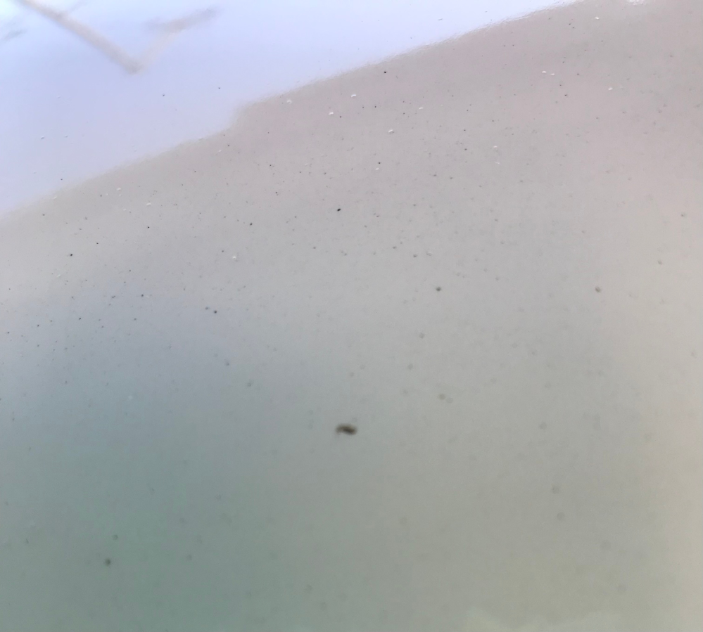 1年前に購入しましたが乗ったのは3ヶ月くらいです屋根つきの場所で保管してました 海外出張に行ってまして4ヶ月ぶりに自分の車を見てみると屋根のボ