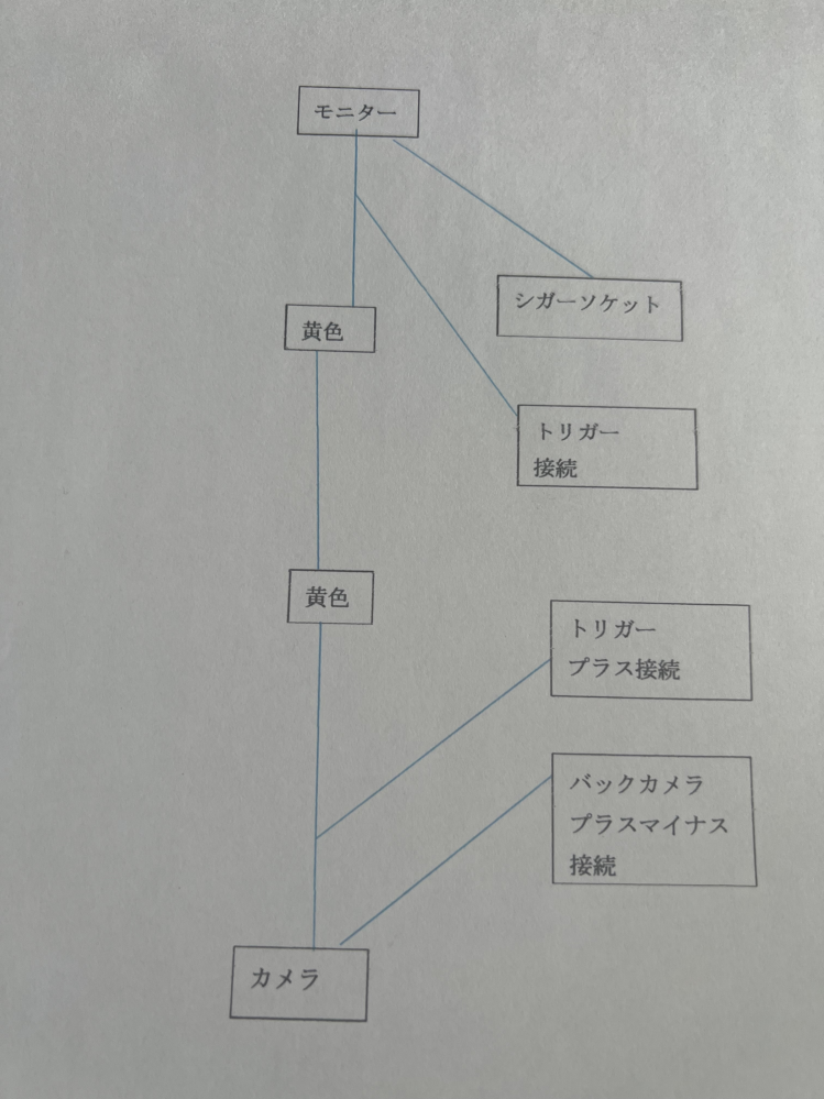 その他 バイオプエントリー初心者基礎からお教えいたします。