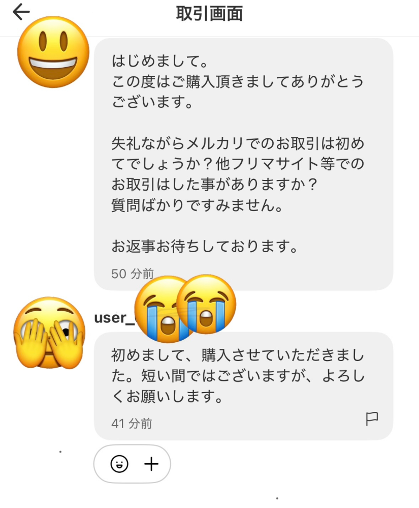 メルカリでuser_で始まる評価0本人確認なしアイコンなしの方