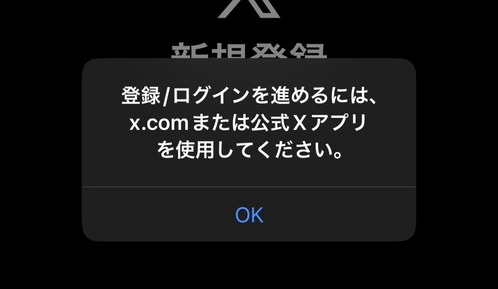 【同時購入100円引き】オファー下さいアカウントです 急募です。Xで複数アカウントを所持したいと思い新規登録をしてみたの