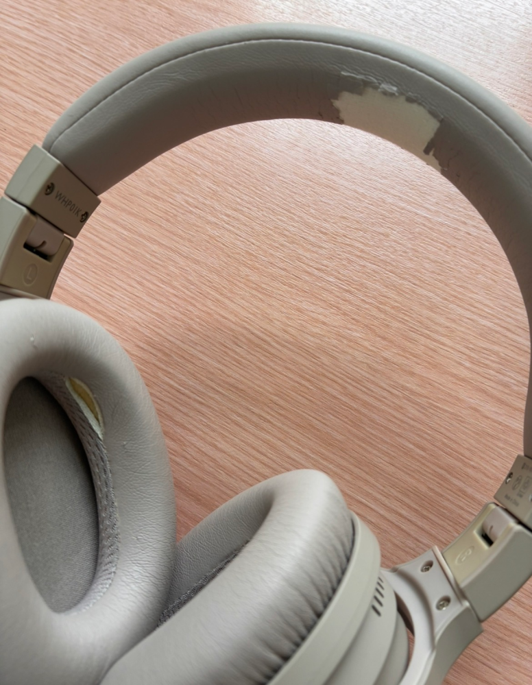 5日前SONYのWF-1000XM5の右側のイヤホンを外でなくしました