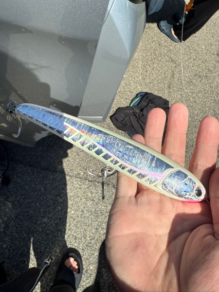 チヌで60センチは大きいですか？ - 60はチヌの世界では夢の魚ですね(笑