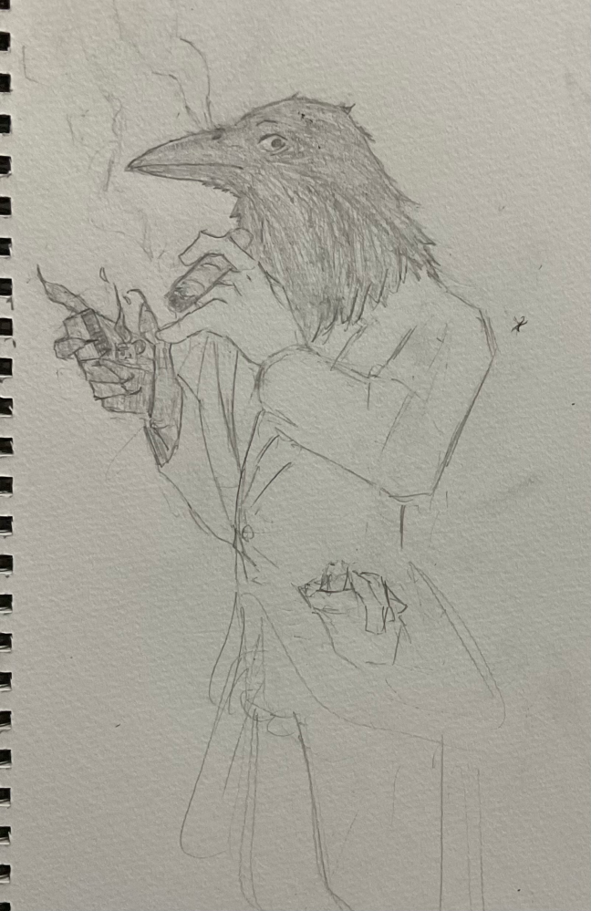 中学生で一年弱ぐらい絵を描いてるんですが、どうもバランスがおか