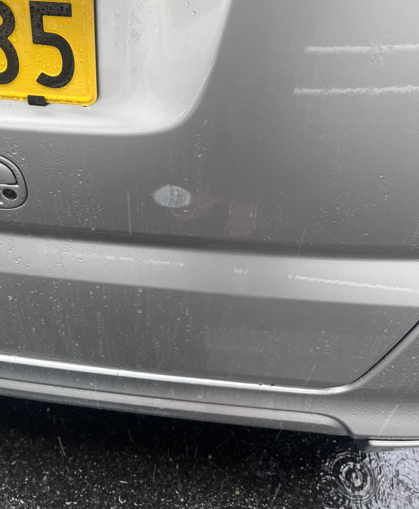 今日車の後ろをたまたま見たらこのような傷？がついていました。触