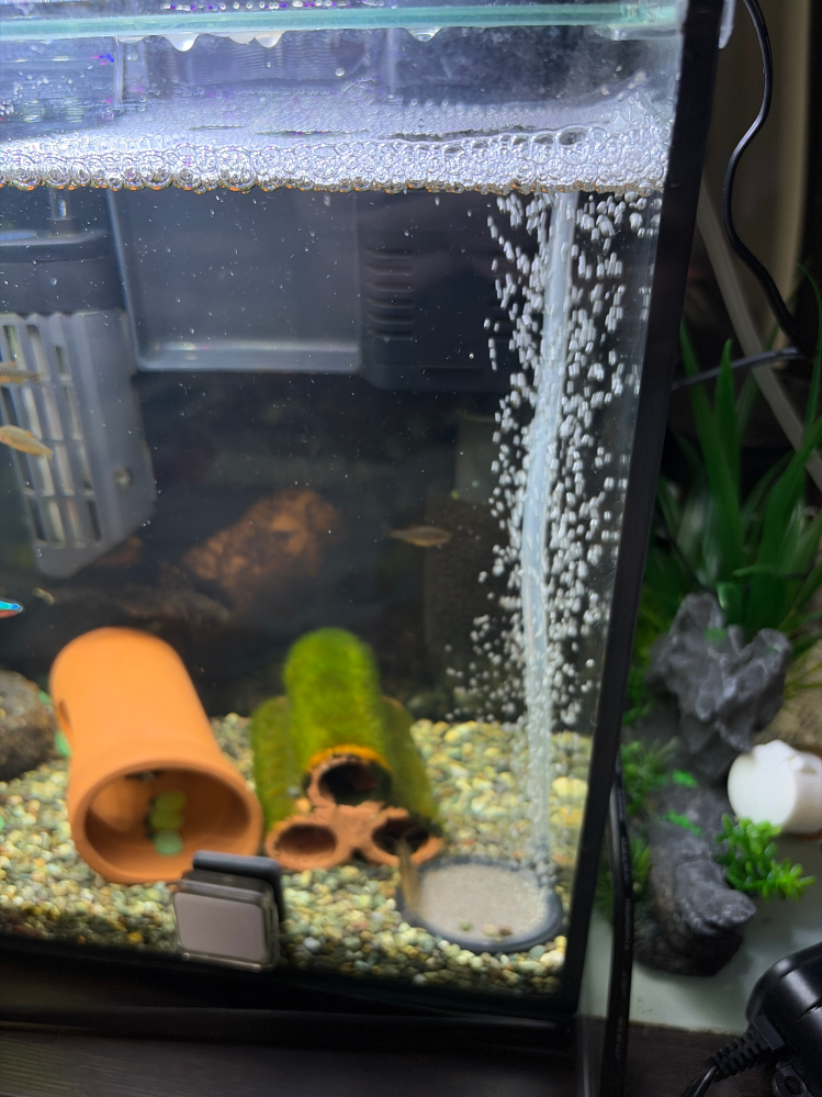 水槽について質問です。今40センチ水槽で熱帯魚とプレコを飼っているの 