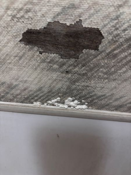 風呂場の壁に白い綿？のようなものが浮き出てきたんですが、これはなん 