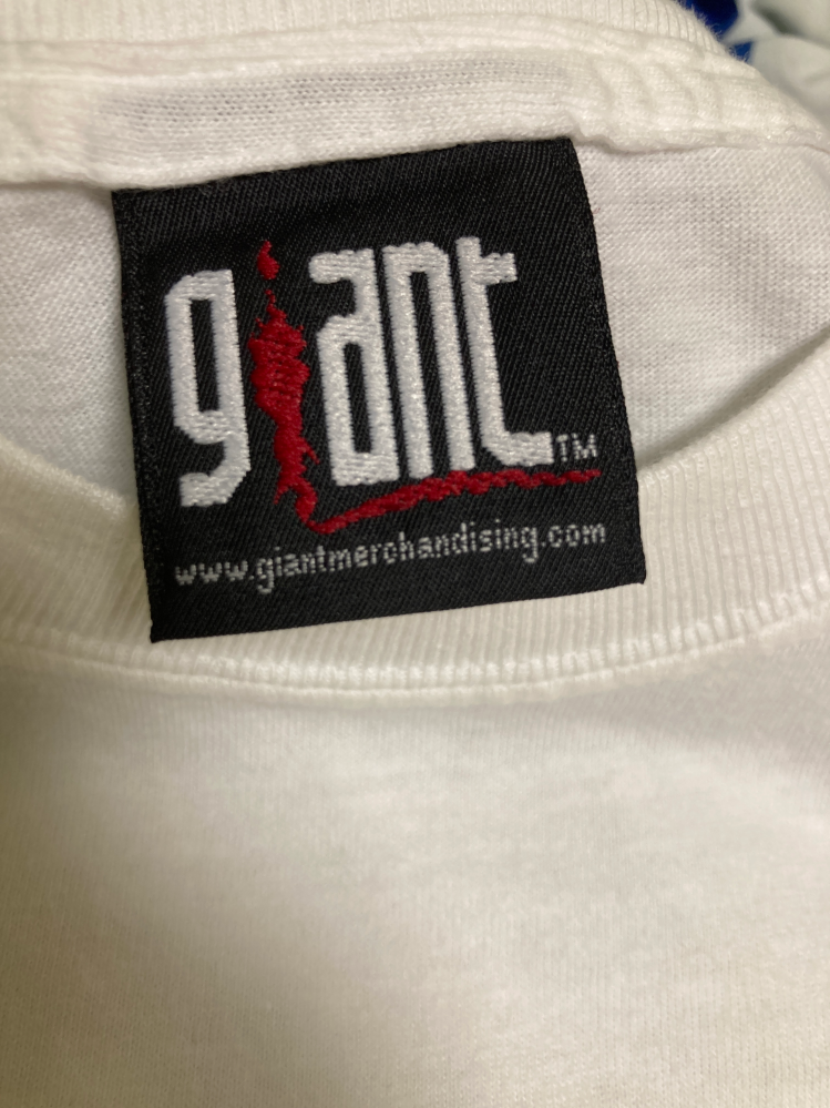 古着、Tシャツに詳しい方にお聞きしたいです。おそらくヴィンテー 
