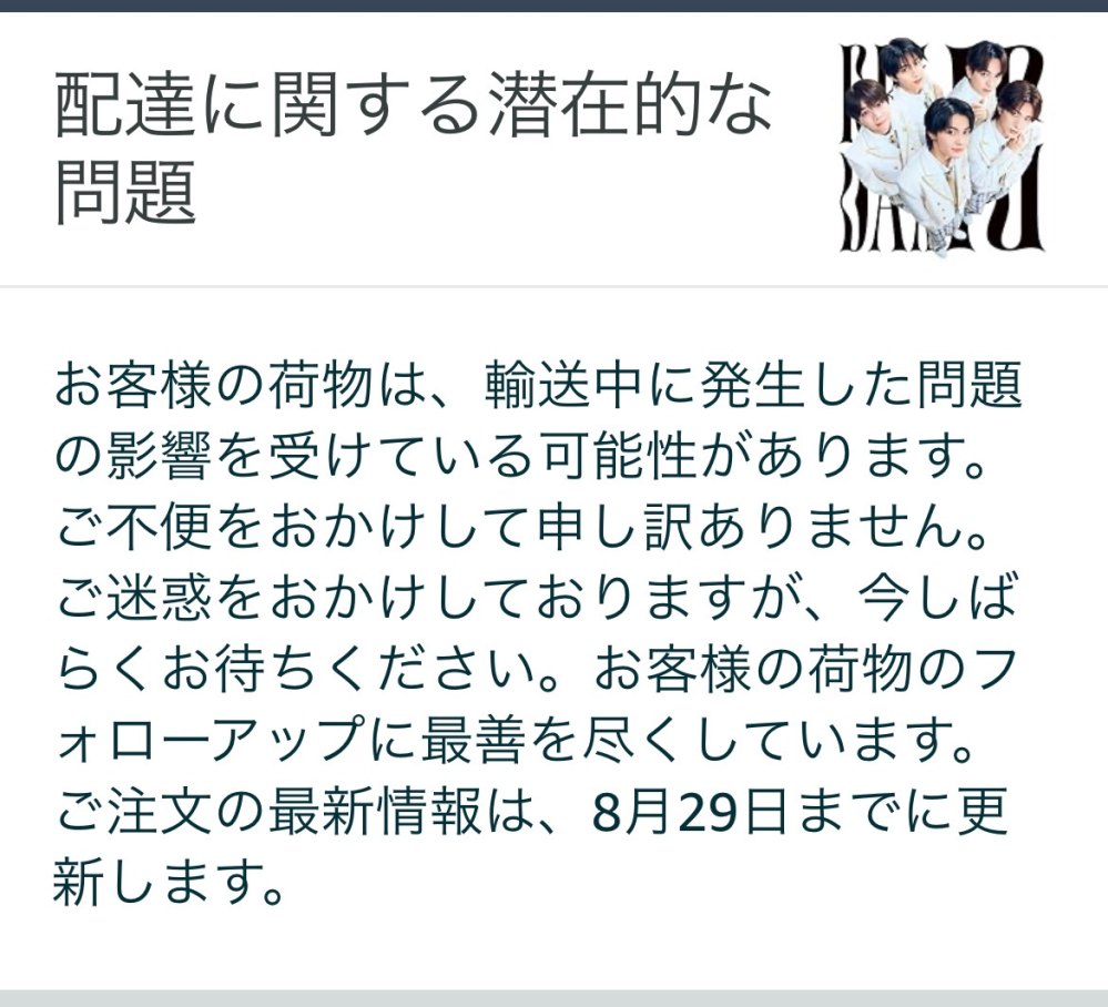 りょんちゅん様注文専用(他のお客様はご遠慮ください) 自分のAmazonアカウントで過去3回注文したことがあるのですが3回とも