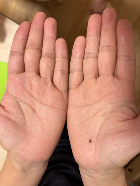 手相がわかる方みえましたら、この手相からどんなことが分かりますか