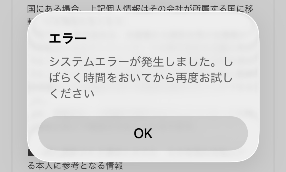 さん専用 発送通知エラーによる再度お取り引き 至急Yahooフリマで購入ボタンを押してもシステムエラーが起きてしまい