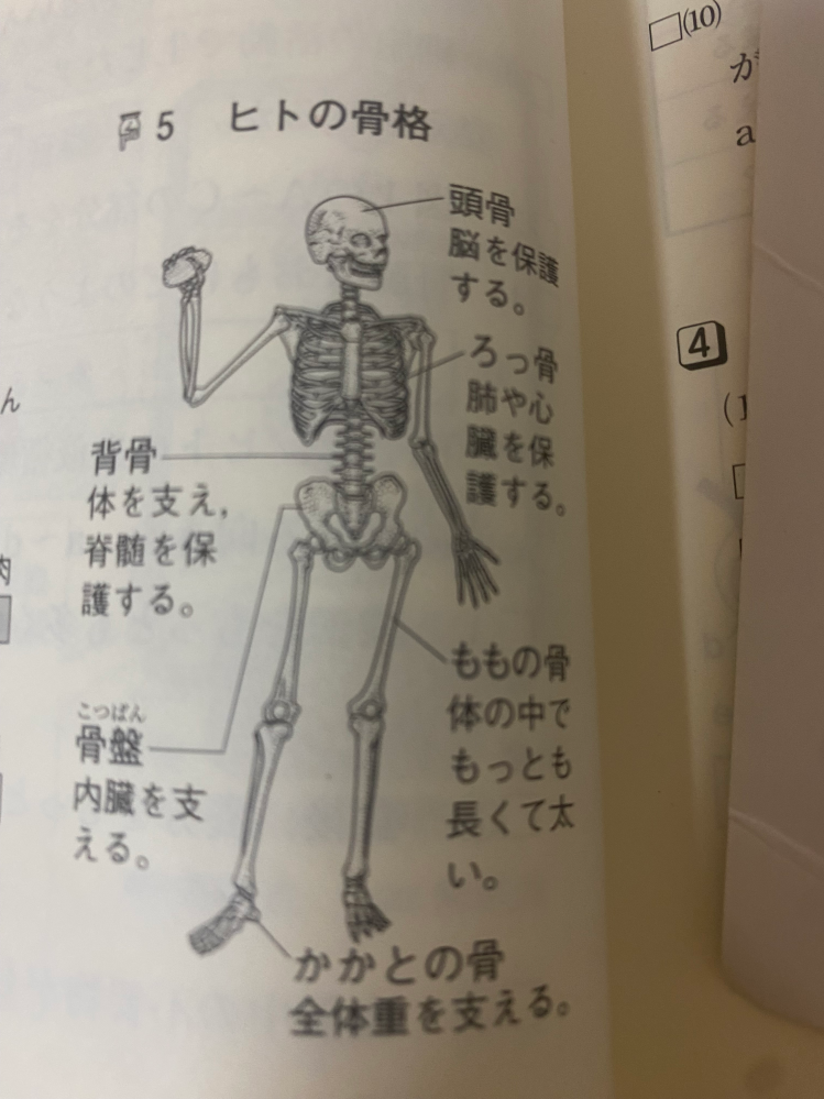 愛知全県模試第6回の平均点が知りたいです。2024年12月に受け