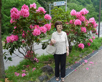 つつじに似た大きい花 名前を教えてください 福井県南部での5月末の写真で Yahoo 知恵袋