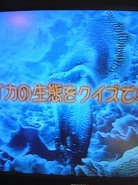 イカは 一瞬で体の色を変化させる事が出来るそうですが それは どのような仕組 Yahoo 知恵袋