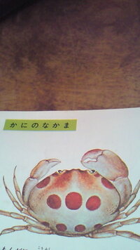 蟹の爪についてですが 写真を見ると片方が大きい爪でもう片方が小さいです Yahoo 知恵袋